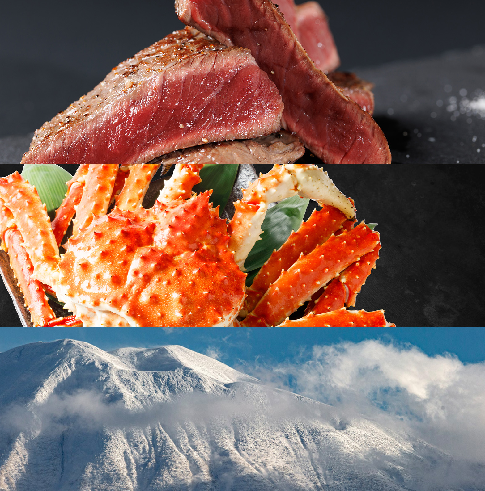 北海道ニセコエリアのイメージ